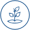 icon-tohumculuk